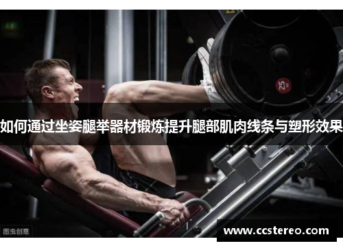 如何通过坐姿腿举器材锻炼提升腿部肌肉线条与塑形效果