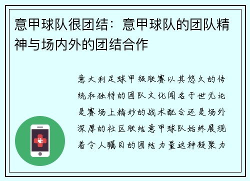 意甲球队很团结：意甲球队的团队精神与场内外的团结合作